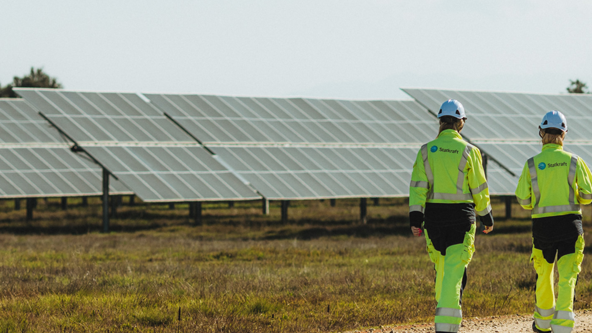 Solar panels with wildflowers