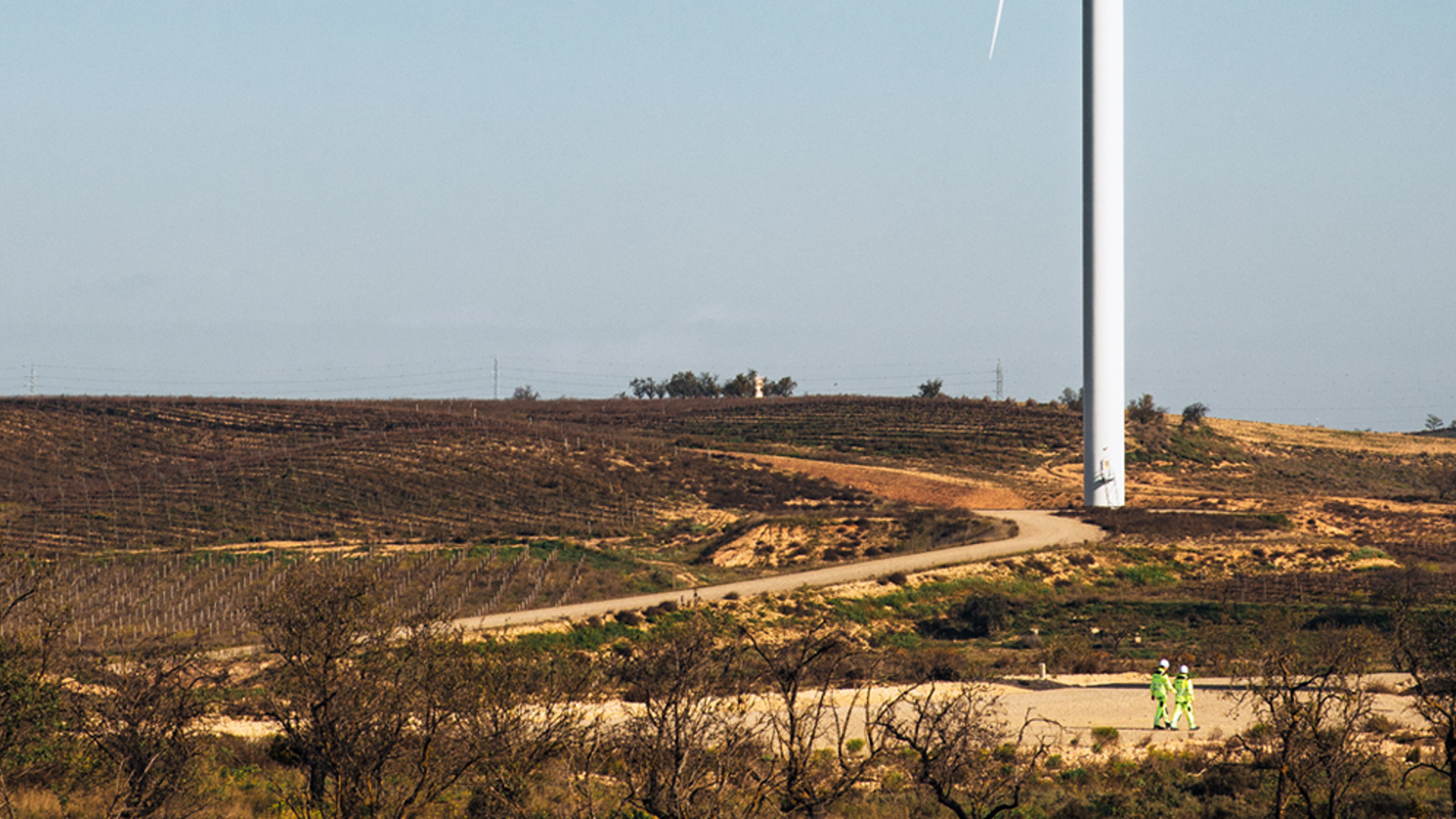 wind farm