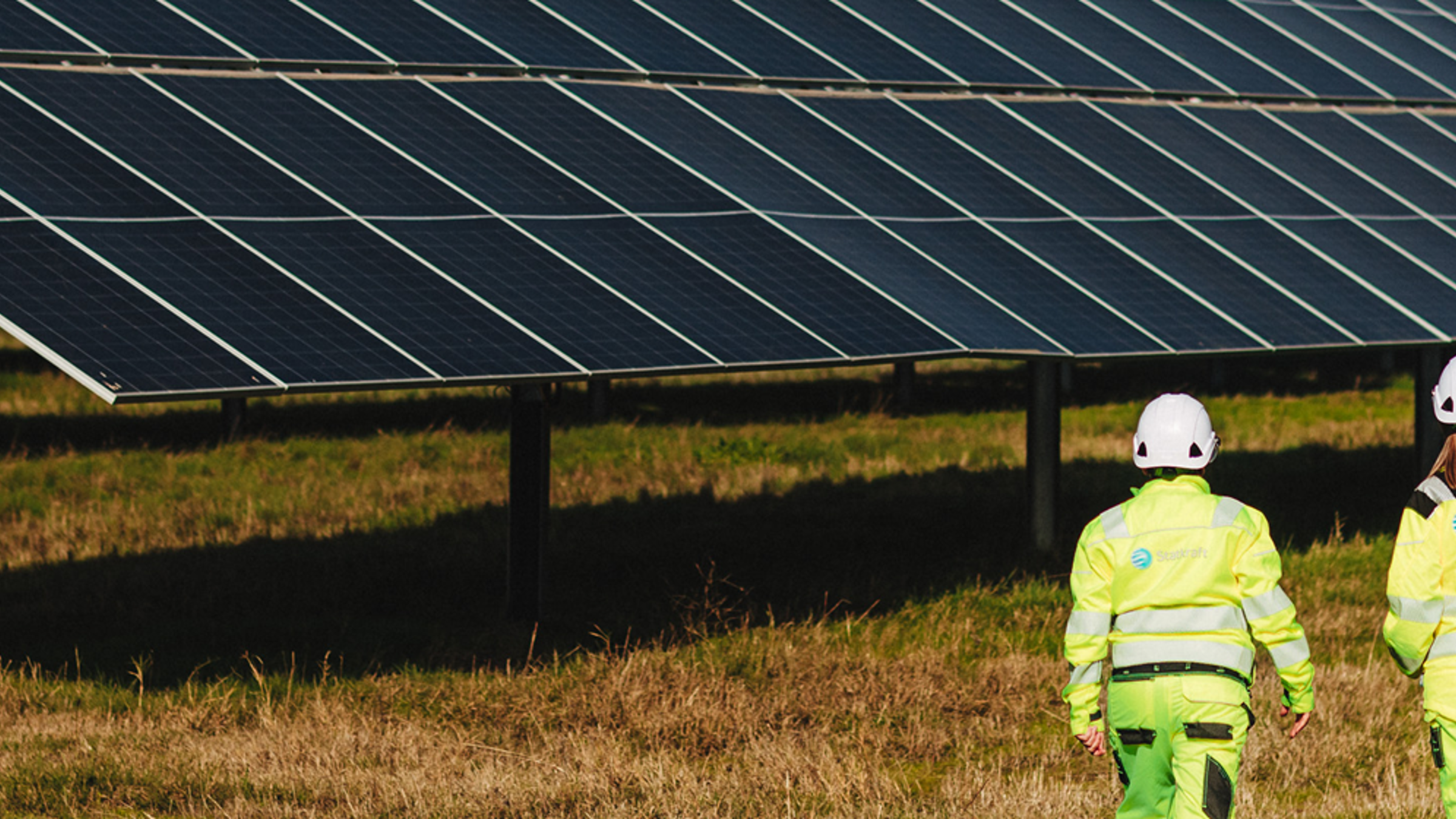 Solar panels with wildflowers