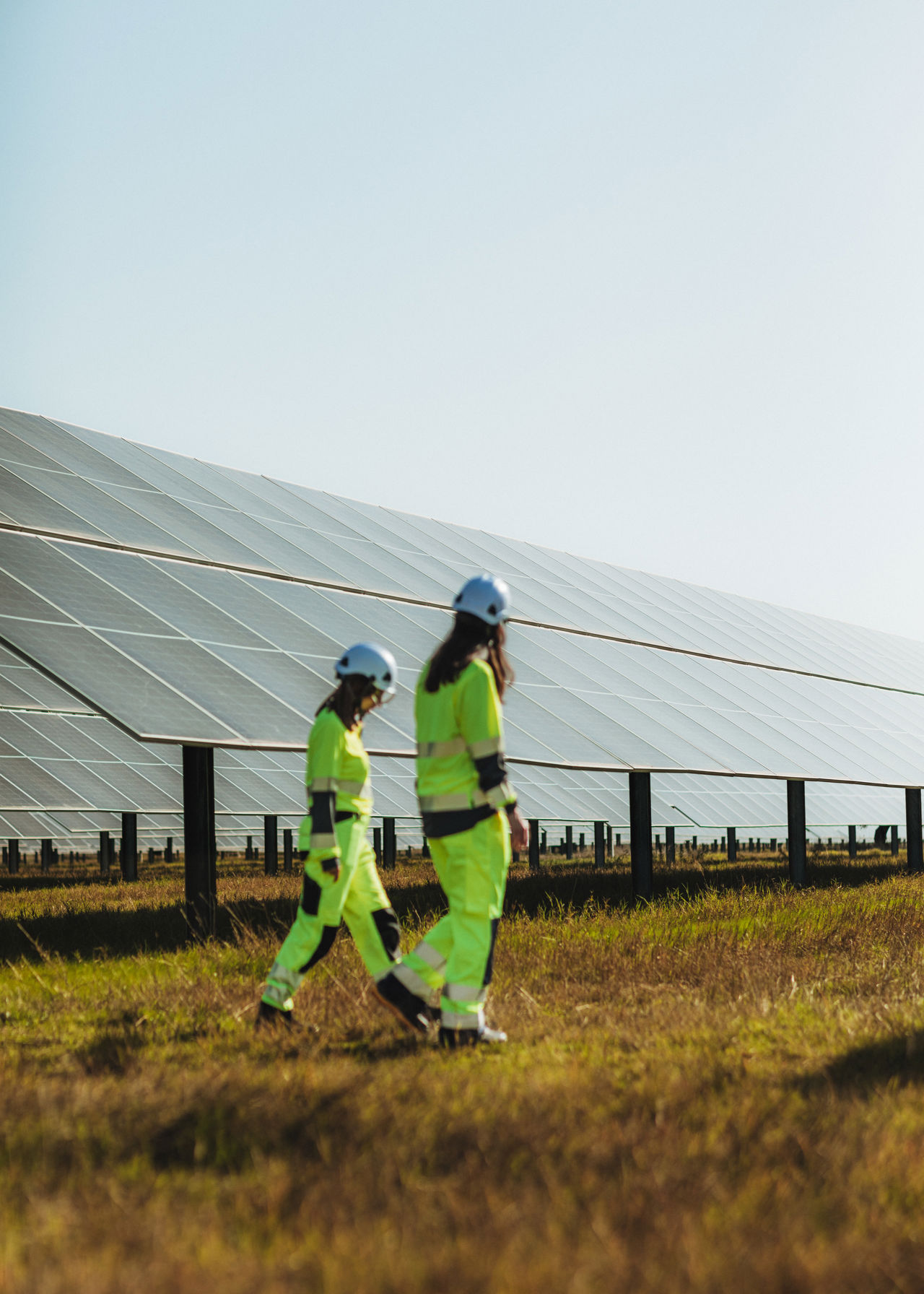 Solar farm