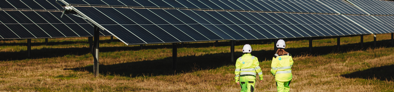 Solar farm