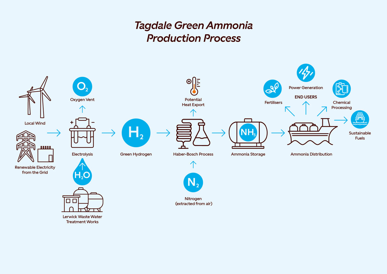 Process diagram showing the production of ammonia using the hydrogen electrolysis and the Haber-Bosch Process 
