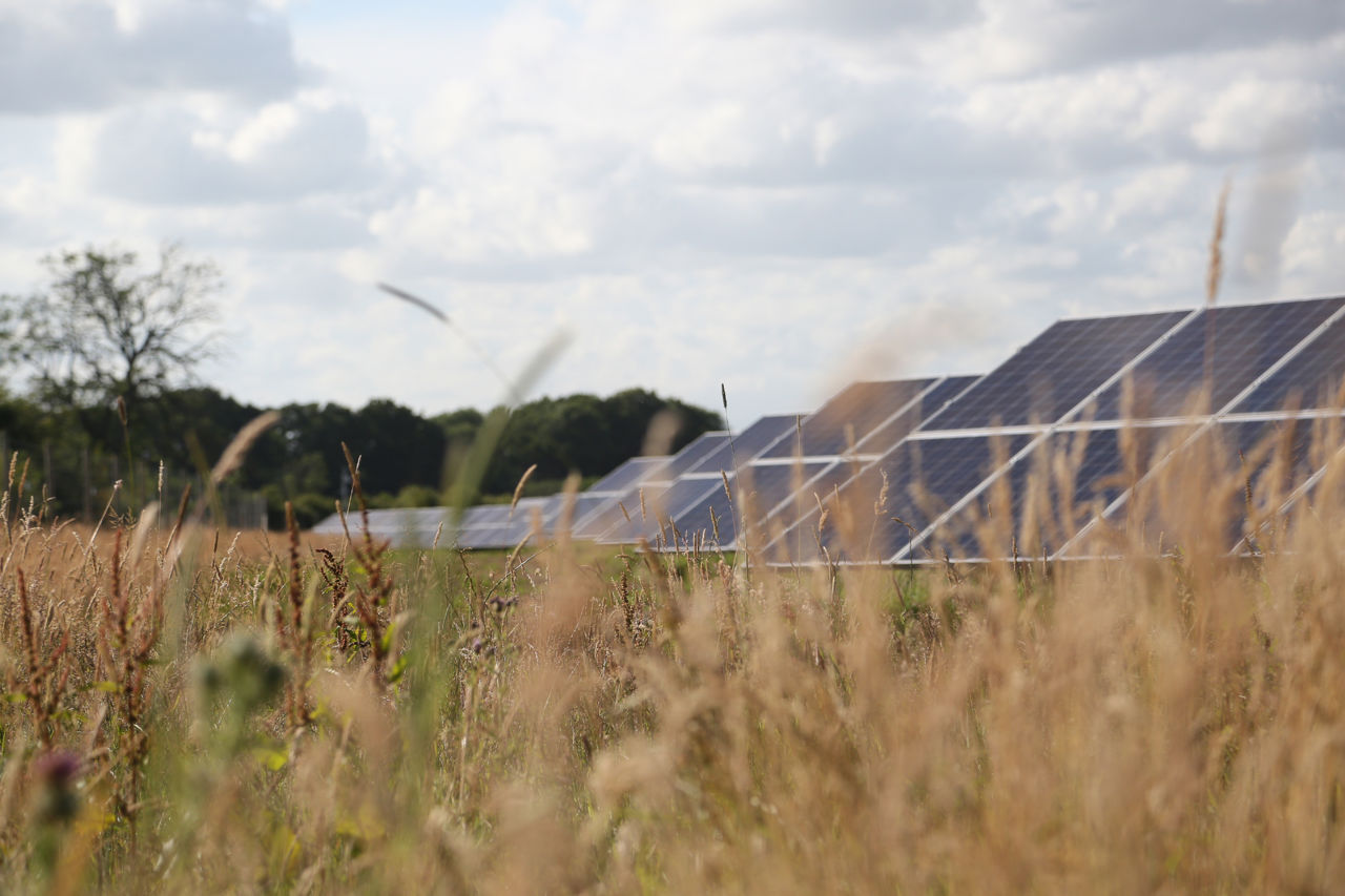 Solar farm