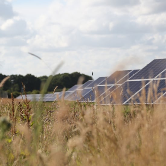 Solar farm