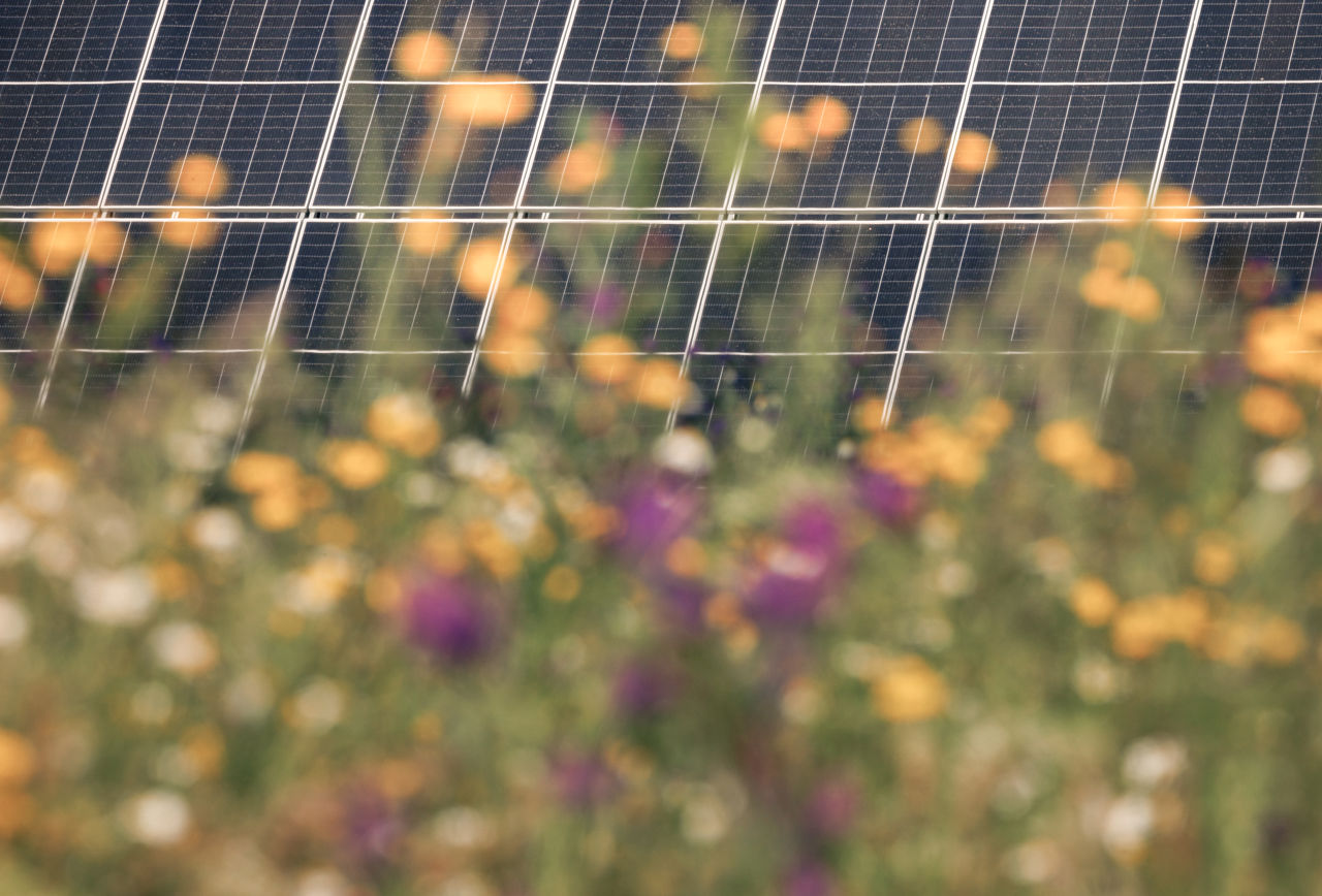 Solar Farm image