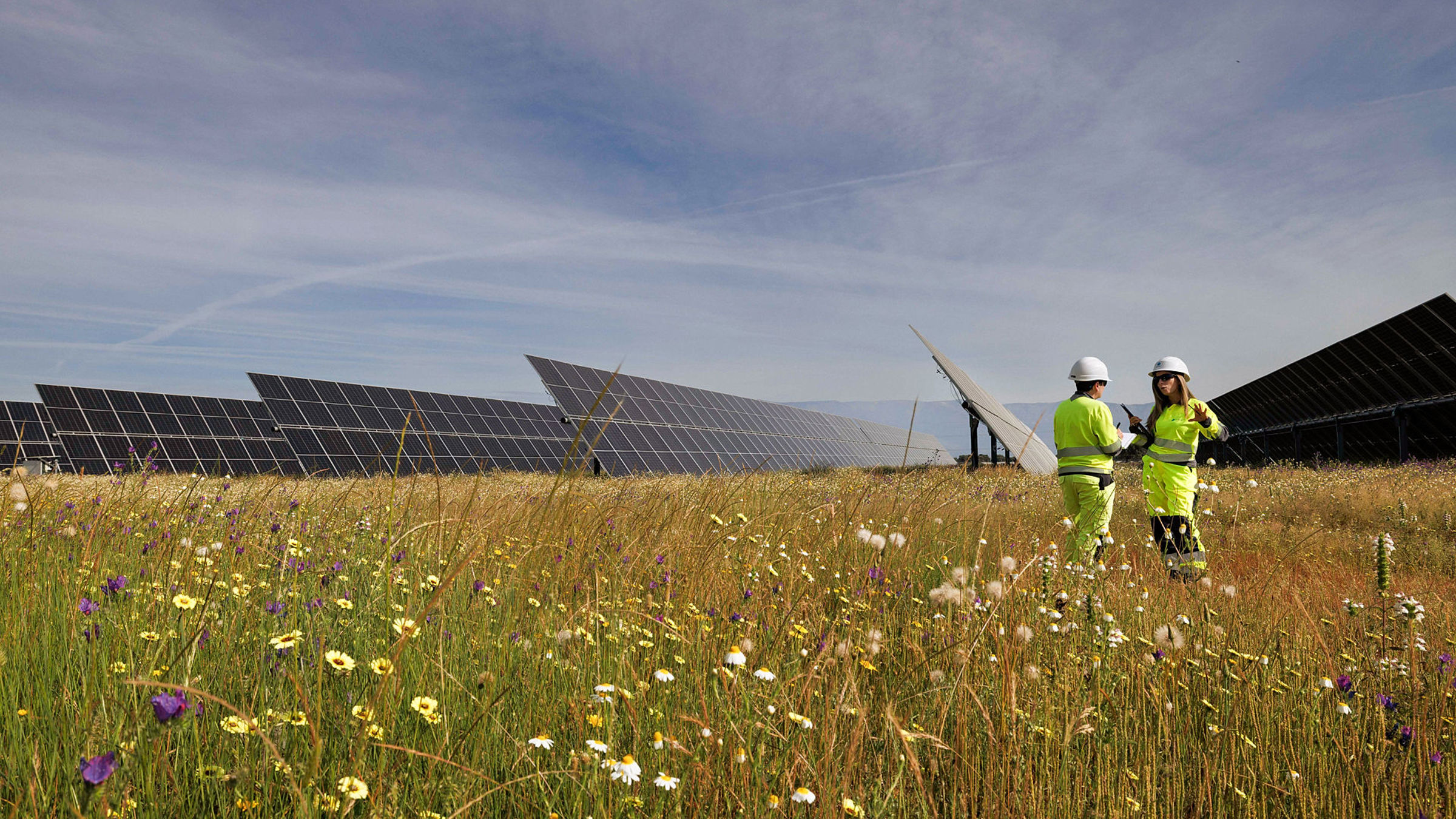 Field with solar