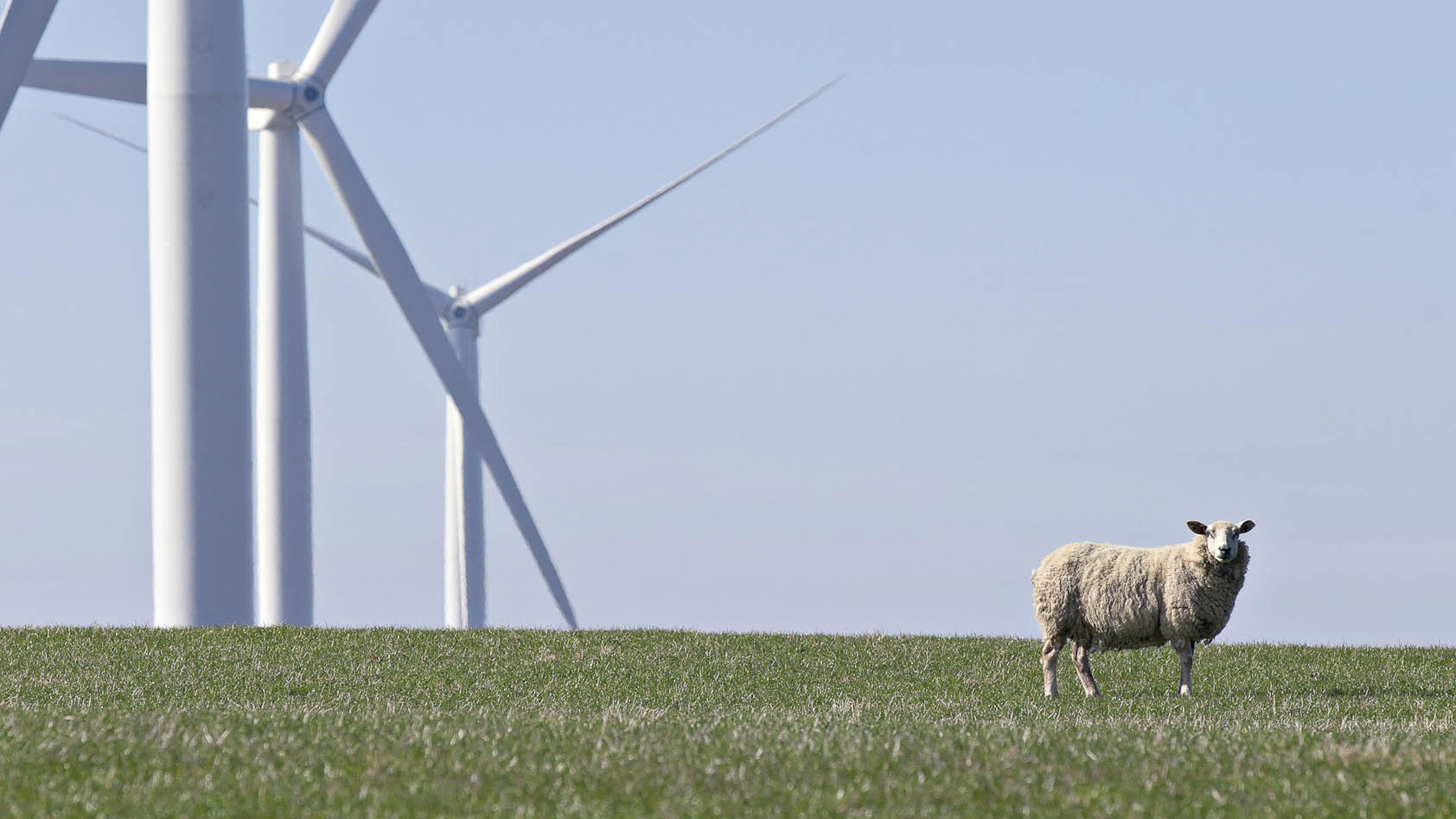 wind farm