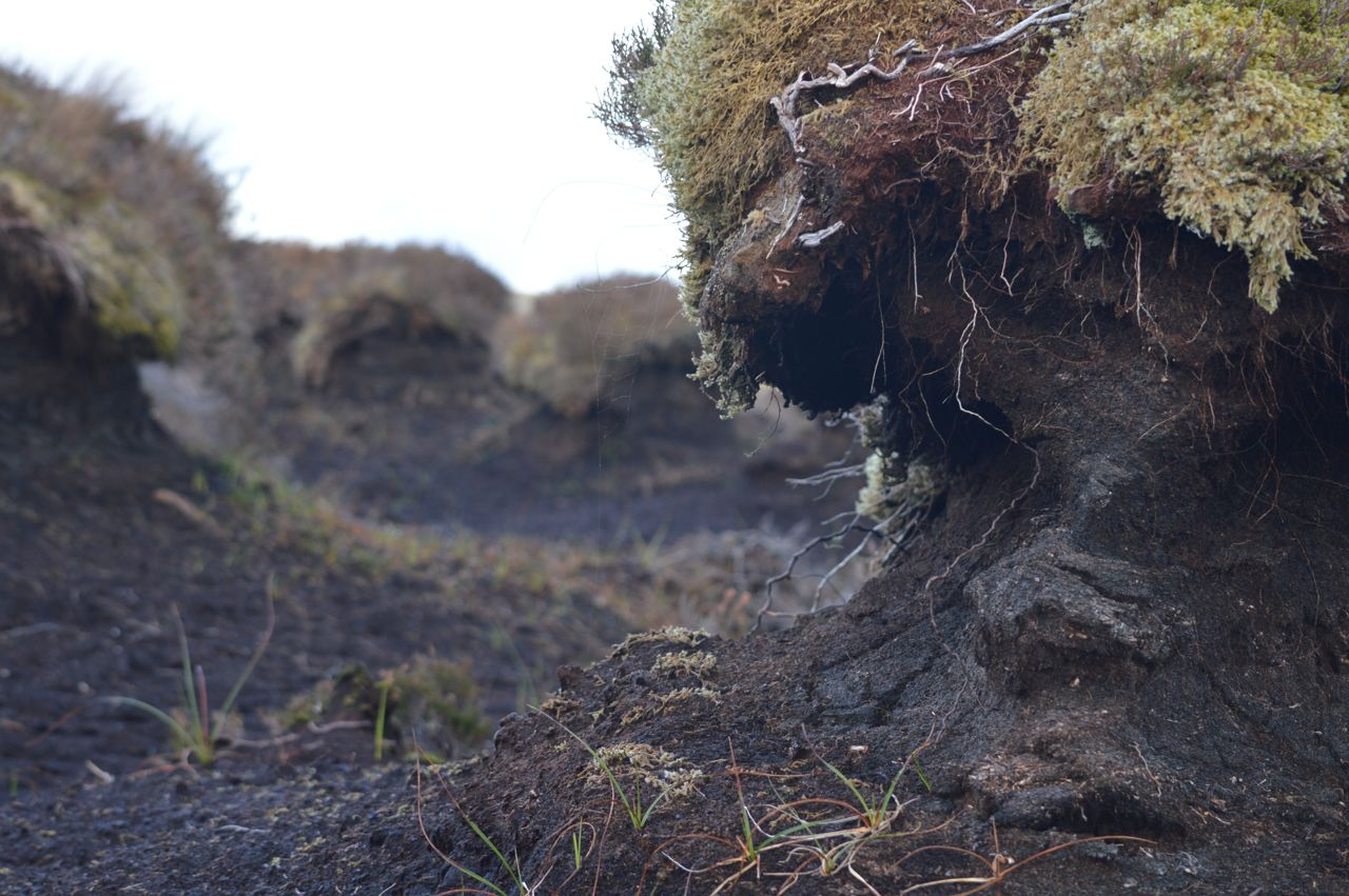 Peat hagg- an isolated mound or bank of exposed eroding peat